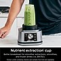 Ninja Foodi Power 17 oz. Blender and Processor System, Silver ( SS351)~#|#~sp317803497_sc7