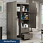 Sauder Select 71"H Storage Armoire, 2 Drawers, Silver Sycamore (426126)~#|#~sp317807135_sc7