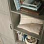 Sauder Select 71"H Storage Armoire, 2 Drawers, Silver Sycamore (426126)~#|#~sp317807140_sc7