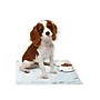 Medline Ultrasorbs Advanced SlipResist Disposable Heavy Absorbency Underpads, 30" x 36", 70/Carton (MSC383500)~#|#~sp319070777_sc7