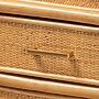 bali & pari Mairen 59.8" H Natural Rattan Storage Cabinet, Light Honey (262-14417-HiT)~#|#~sp320332383_sc7