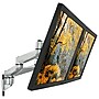 Mount-It! Modular Dual Adjustable Monitor Arms, Up to 30" Monitors, Gray/Silver (MI-43114)~#|#~sp32072582_sc7
