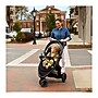 Graco Outpace All-Terrain Travel System, Briggs (2203025)~#|#~sp320815031_sc7