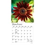 2027 BrownTrout Sunflowers 7" x 7" Monthly Wall Calendar (9798330714964)~#|#~sp320815772_sc7