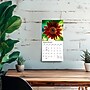 2027 BrownTrout Sunflowers 7" x 7" Monthly Wall Calendar (9798330714964)~#|#~sp320815774_sc7