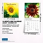2027 BrownTrout Sunflowers 7" x 7" Monthly Wall Calendar (9798330714964)~#|#~sp320815776_sc7