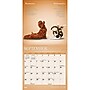 2027 BrownTrout Yoga Puppies & Kittens Together 7" x 7" Monthly Wall Calendar (9798330713561)~#|#~sp320815783_sc7
