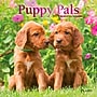 2027 BrownTrout Puppy Pals 7" x 7" Monthly Wall Calendar (9798330713820)~#|#~sp320815801_sc7