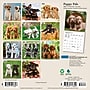 2027 BrownTrout Puppy Pals 7" x 7" Monthly Wall Calendar (9798330713820)~#|#~sp320815802_sc7