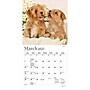 2027 BrownTrout Puppy Pals 7" x 7" Monthly Wall Calendar (9798330713820)~#|#~sp320815803_sc7