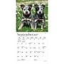 2027 BrownTrout Puppy Pals 7" x 7" Monthly Wall Calendar (9798330713820)~#|#~sp320815804_sc7