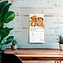 2027 BrownTrout Puppy Pals 7" x 7" Monthly Wall Calendar (9798330713820)~#|#~sp320815805_sc7