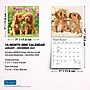 2027 BrownTrout Puppy Pals 7" x 7" Monthly Wall Calendar (9798330713820)~#|#~sp320815807_sc7