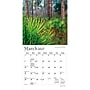 2027 BrownTrout National Parks 7" x 7" Monthly Wall Calendar (9798330713790)~#|#~sp320815813_sc7