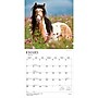 2027 BrownTrout Chevaux 12" x 12" Monthly Wall Calendar (9798330715077)~#|#~sp320815981_sc7