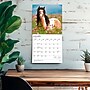 2027 BrownTrout Chevaux 12" x 12" Monthly Wall Calendar (9798330715077)~#|#~sp320815983_sc7