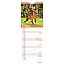 2027 BrownTrout Horse Lovers 5.7" x 16.5" Monthly Slimline Wall Calendar (9798330710294)~#|#~sp320816072_sc7