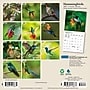 2027 BrownTrout Hummingbirds 7" x 7" Monthly Wall Calendar (9798330713677)~#|#~sp320816188_sc7
