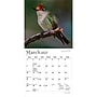 2027 BrownTrout Hummingbirds 7" x 7" Monthly Wall Calendar (9798330713677)~#|#~sp320816189_sc7