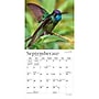 2027 BrownTrout Hummingbirds 7" x 7" Monthly Wall Calendar (9798330713677)~#|#~sp320816190_sc7