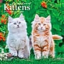 2027 BrownTrout For the Love of Kittens 7" x 7" Monthly Wall Calendar (9798330713745)~#|#~sp320816197_sc7