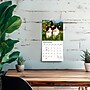 2027 BrownTrout For the Love of Kittens 7" x 7" Monthly Wall Calendar (9798330713745)~#|#~sp320816201_sc7