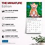 2027 BrownTrout For the Love of Kittens 7" x 7" Monthly Wall Calendar (9798330713745)~#|#~sp320816202_sc7