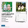2027 BrownTrout For the Love of Kittens 7" x 7" Monthly Wall Calendar (9798330713745)~#|#~sp320816203_sc7