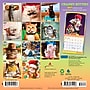 2027 BrownTrout Avanti Cranky Kitties 7" x 7" Monthly Wall Calendar (9798330714926)~#|#~sp320816228_sc7
