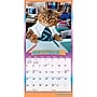 2027 BrownTrout Avanti Cranky Kitties 7" x 7" Monthly Wall Calendar (9798330714926)~#|#~sp320816230_sc7