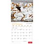 2027 BrownTrout Canadian Geographic Oiseaux 12" x 12" Monthly Wall Calendar (9781525617638)~#|#~sp320816434_sc7