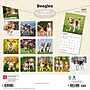 2027 BrownTrout Beagles 12" x 12" Monthly Wall Calendar (9798330712229)~#|#~sp320816701_sc7