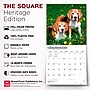 2027 BrownTrout Beagles 12" x 12" Monthly Wall Calendar (9798330712229)~#|#~sp320816705_sc7