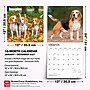 2027 BrownTrout Beagles 12" x 12" Monthly Wall Calendar (9798330712229)~#|#~sp320816706_sc7