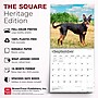 2027 BrownTrout Australian Kelpies 12" x 12" Monthly Wall Calendar (9798330712199)~#|#~sp320816827_sc7