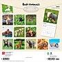 2027 BrownTrout Baby Animals 12" x 12" Monthly Wall Calendar (9798330711840)~#|#~sp320816883_sc7