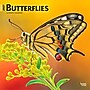 2027 BrownTrout Butterflies 12" x 12" Monthly Wall Calendar (9798330712021)~#|#~sp320816943_sc7