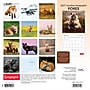 2027 BrownTrout Canadian Geographic Foxes 12" x 12" Monthly Wall Calendar (9781525617447)~#|#~sp320816994_sc7