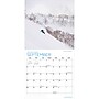2027 BrownTrout Snowboarding 12" x 12" Monthly Wall Calendar (9781525617751)~#|#~sp320817040_sc7
