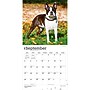 2027 BrownTrout Boston Terriers 12" x 12" Monthly Wall Calendar (9798330712298)~#|#~sp320817202_sc7