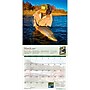 2027 BrownTrout Fly Fishing Dreams 12" x 12" Monthly Wall Calendar (9798330713233)~#|#~sp320817255_sc7