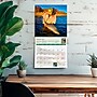 2027 BrownTrout Fly Fishing Dreams 12" x 12" Monthly Wall Calendar (9798330713233)~#|#~sp320817257_sc7