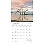 2027 BrownTrout Carolina Coast 12" x 12" Monthly Wall Calendar (9798330710454)~#|#~sp320817475_sc7