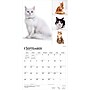 2027 BrownTrout Cat Lovers 12" x 12" Monthly Wall Calendar (9798330711772)~#|#~sp320817590_sc7
