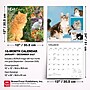 2027 BrownTrout Cat Lovers 12" x 12" Monthly Wall Calendar (9798330711772)~#|#~sp320817593_sc7