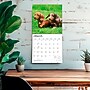 2027 BrownTrout Miniature Dachshunds 12" x 12" Monthly Wall Calendar (9798330712403)~#|#~sp320817686_sc7