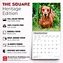 2027 BrownTrout Miniature Dachshunds 12" x 12" Monthly Wall Calendar (9798330712403)~#|#~sp320817687_sc7