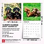 2027 BrownTrout Miniature Dachshunds 12" x 12" Monthly Wall Calendar (9798330712403)~#|#~sp320817688_sc7