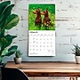 2027 BrownTrout Dobermans 12" x 12" Monthly Wall Calendar (9798330712410)~#|#~sp320817696_sc7