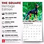 2027 BrownTrout Dobermans 12" x 12" Monthly Wall Calendar (9798330712410)~#|#~sp320817697_sc7